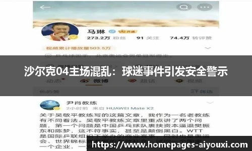 沙尔克04主场混乱：球迷事件引发安全警示